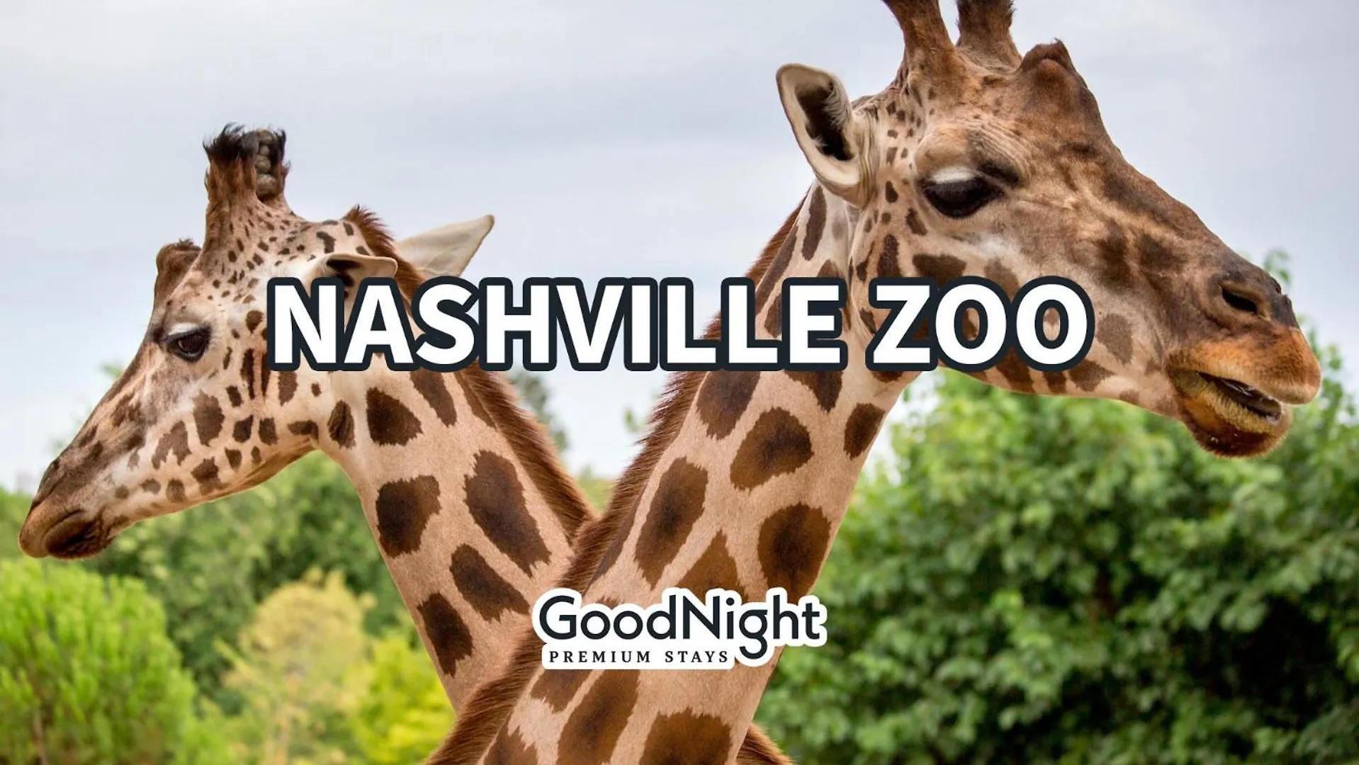 Luxe-Rooftop Echo-Private Deck-4 Mins Broadway Nashville Ferienhaus